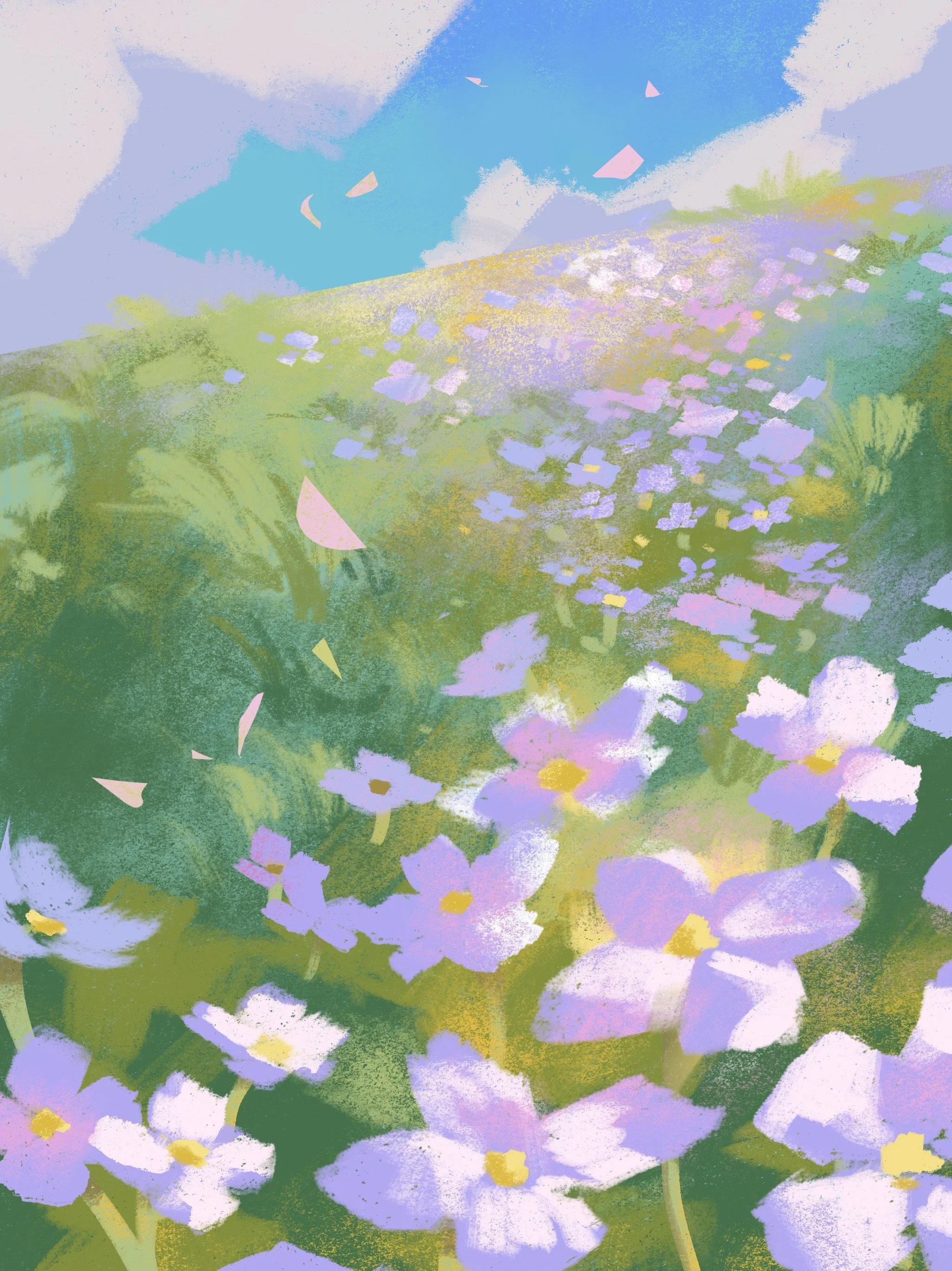 Meadow.JPG