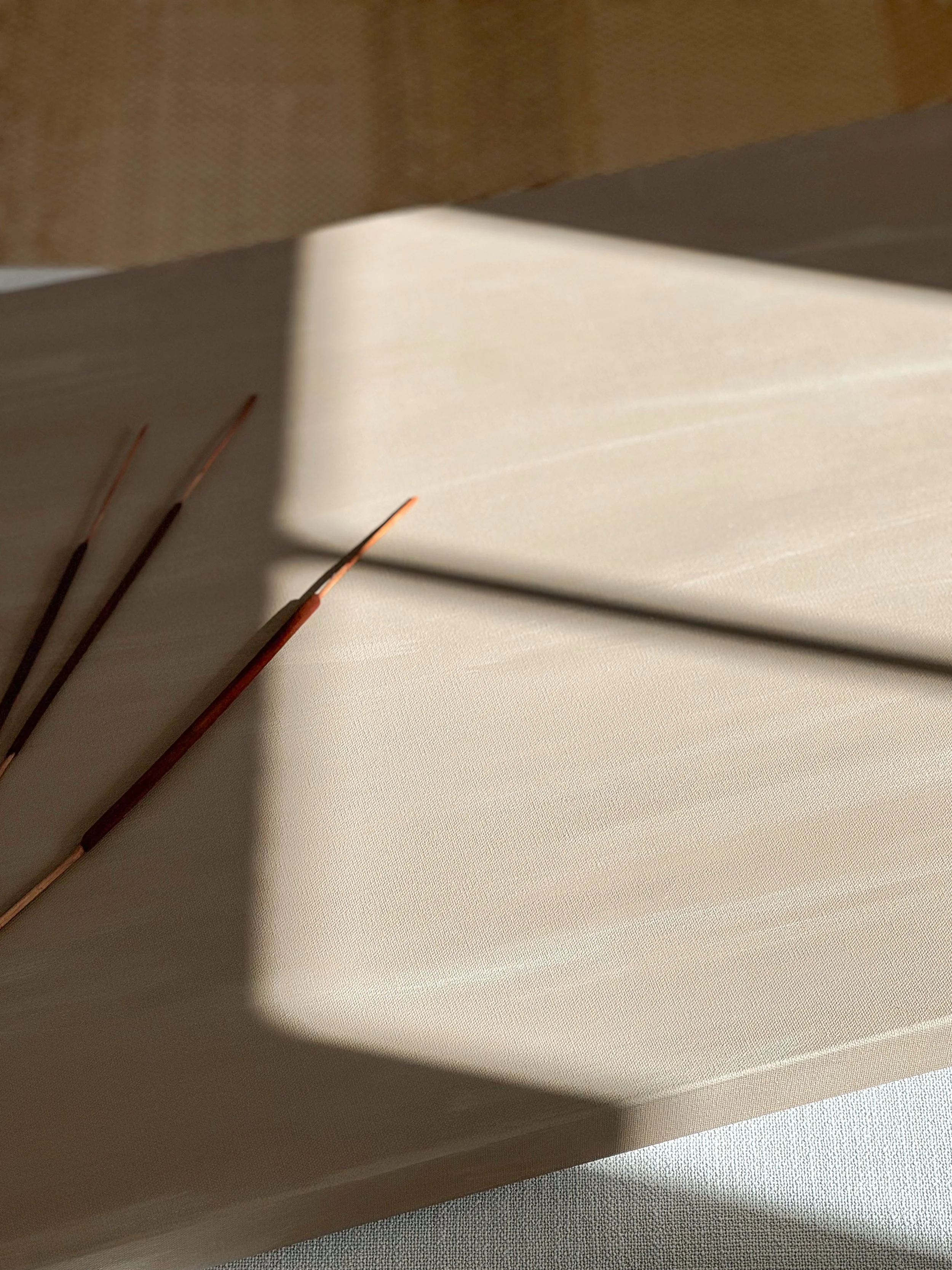 Layered abstract painting by Christie Raju bathed in natural sunlight.