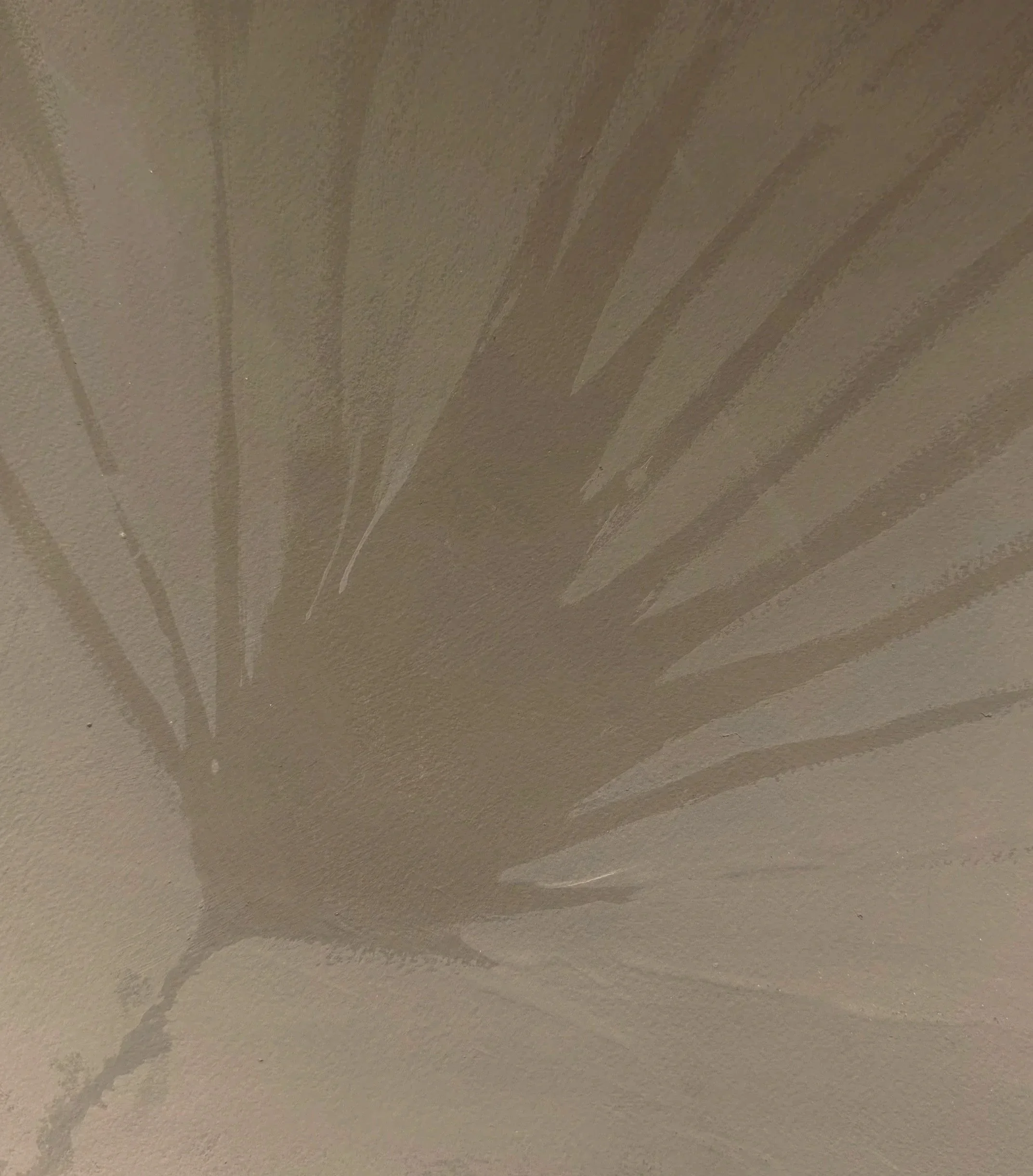 Palmetto 01