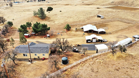 Sunset Acres | Support Senior Horses — Lifesavers Wild Horse Rescue