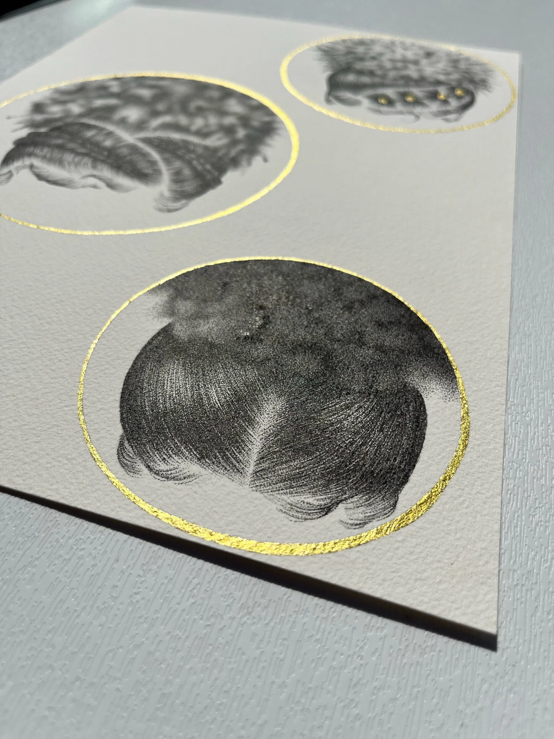 0D13A80E-DCC9-42E5-ABC4-AA968B95F6BE