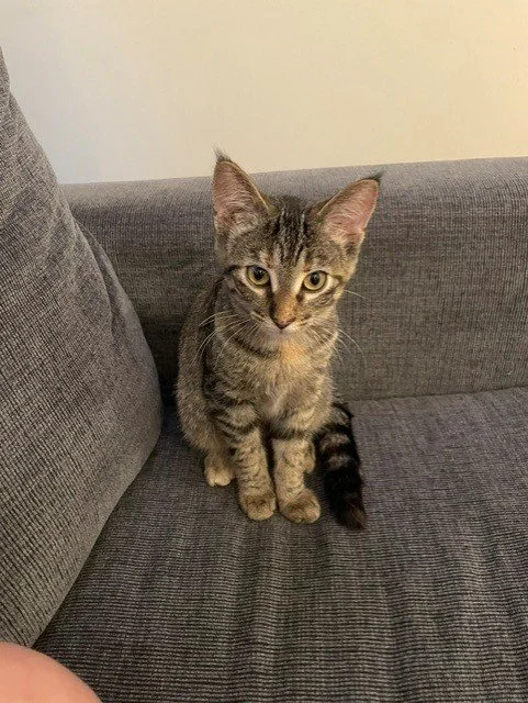 tigger5.jpg