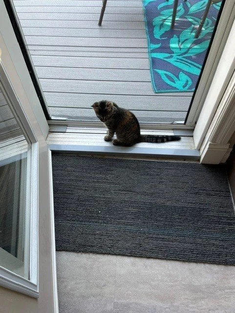 tigger6.jpg