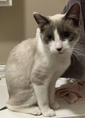 lani2.jpg