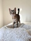 thumbnail_IMG_2286.jpg