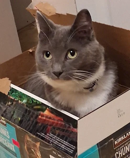 Lila1.jpg
