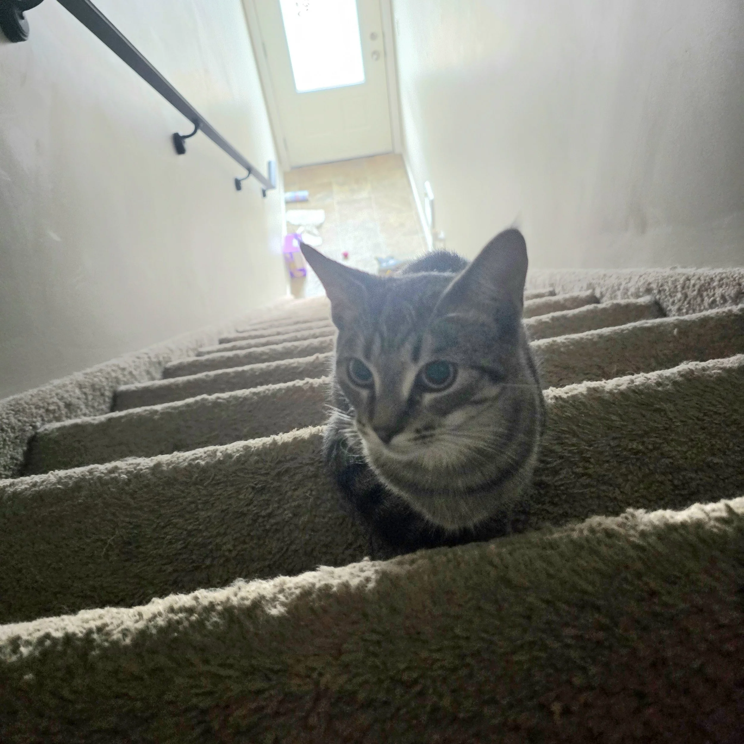 IMG_0460.jpeg