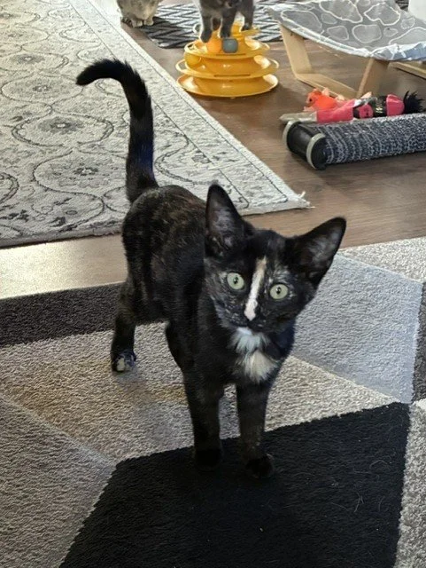 Erin - Calm, Gentle, Sweet & Playful