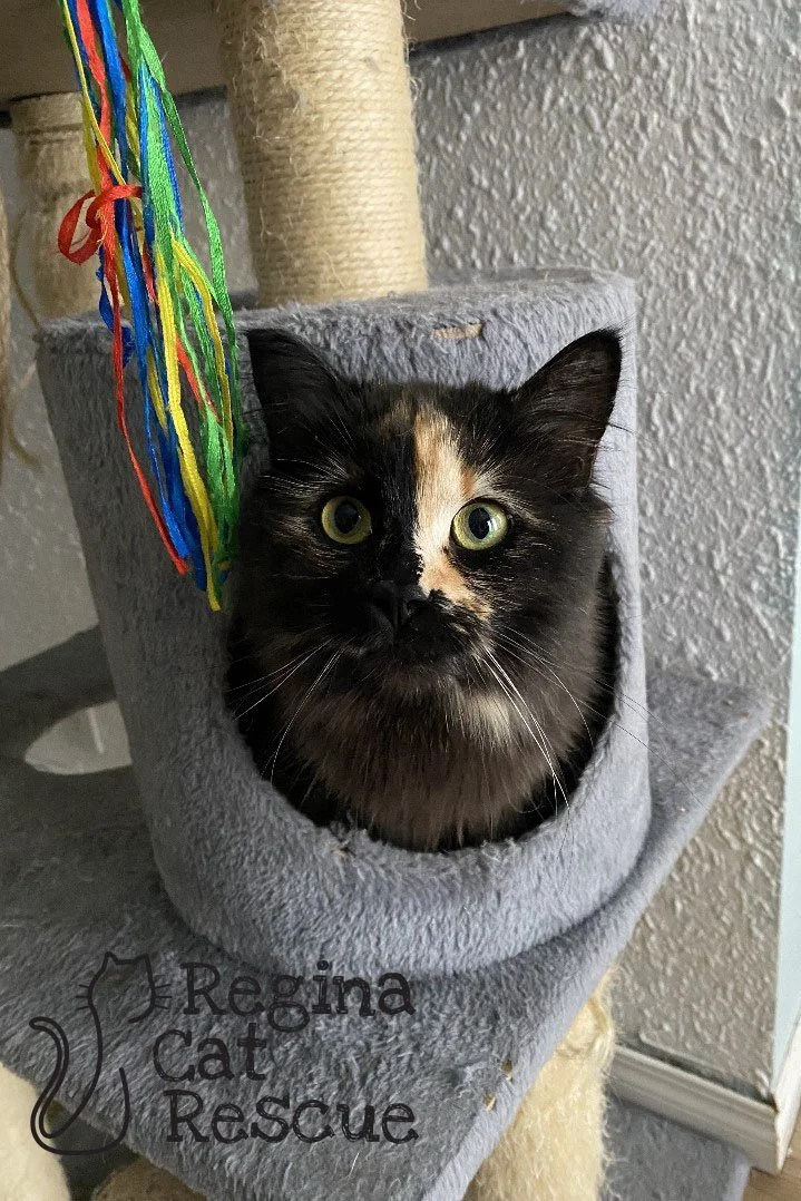 Tiana