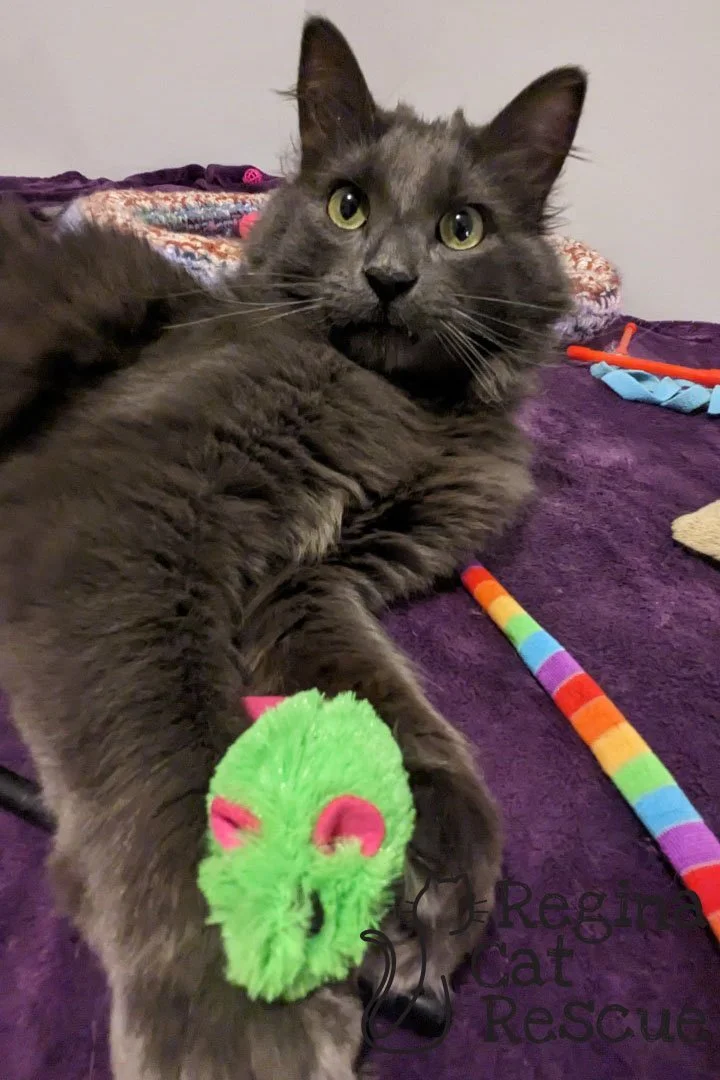 Carson