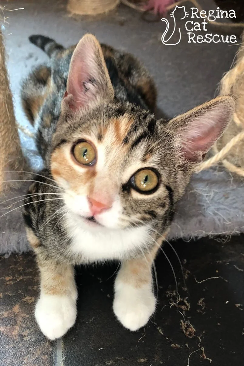 Delilah