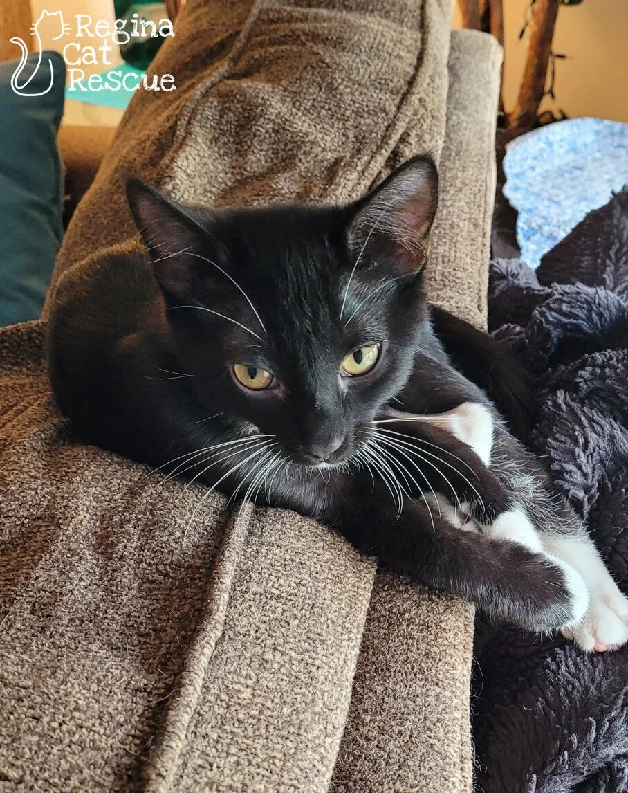 Tux