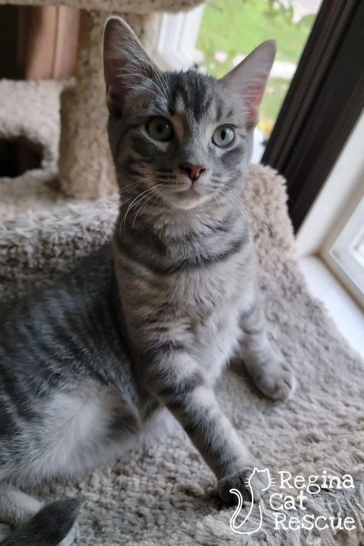 Anya