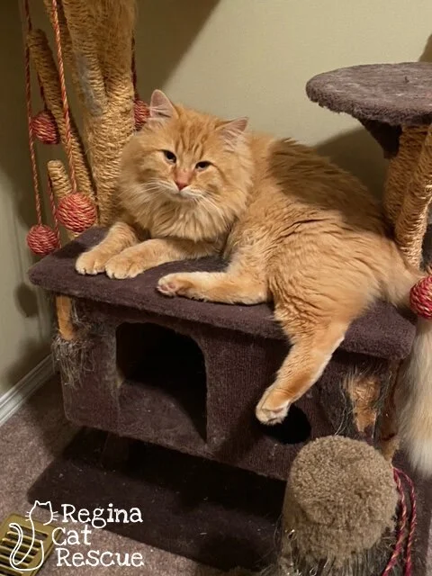 Lionel