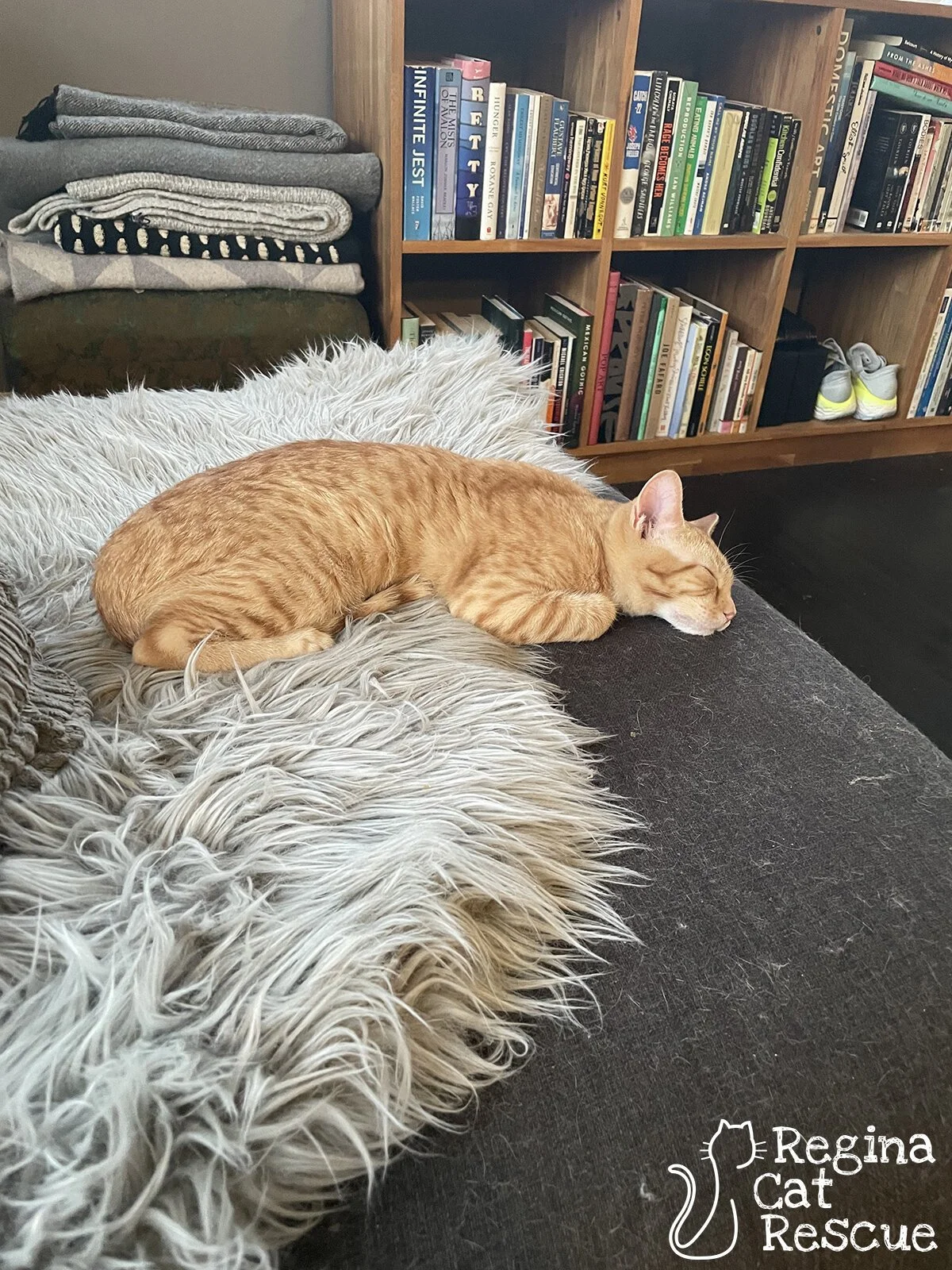 Rupert