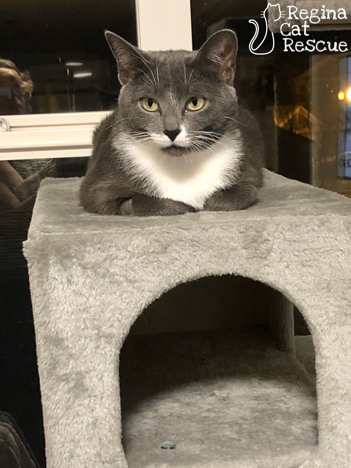 Sophie