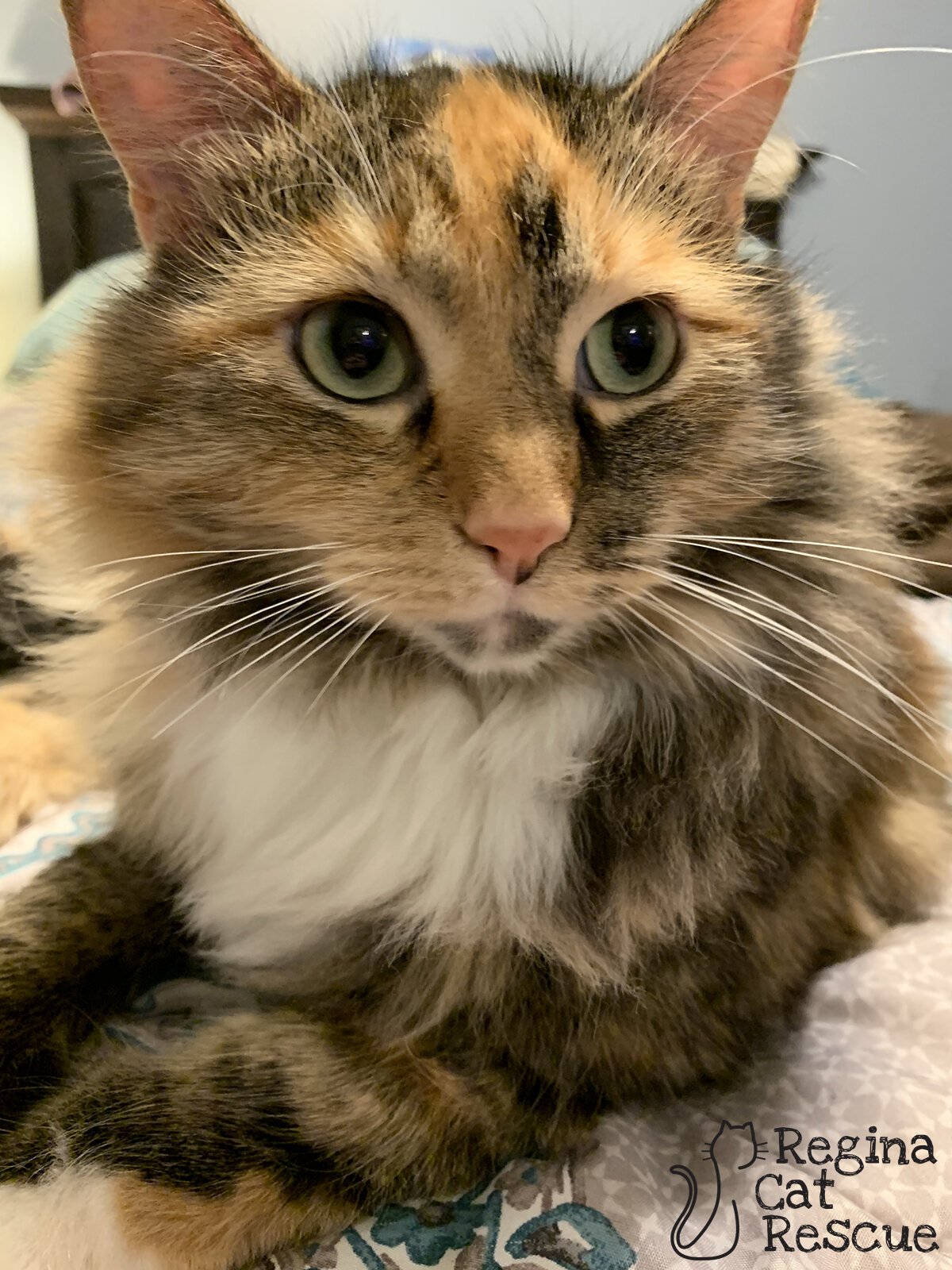 Eleanor