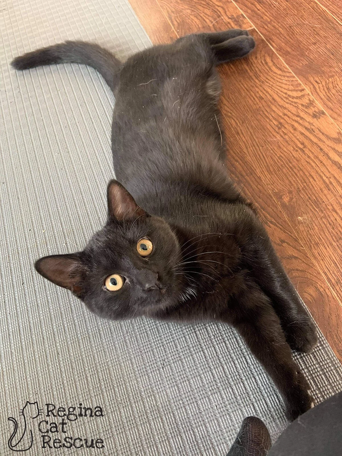 Gomez