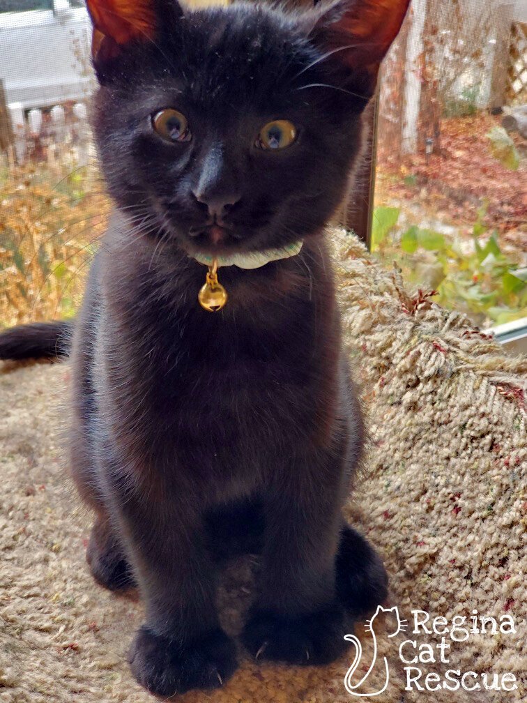 Salem
