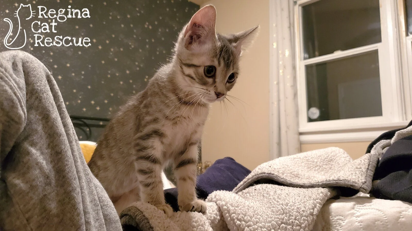 Winnie