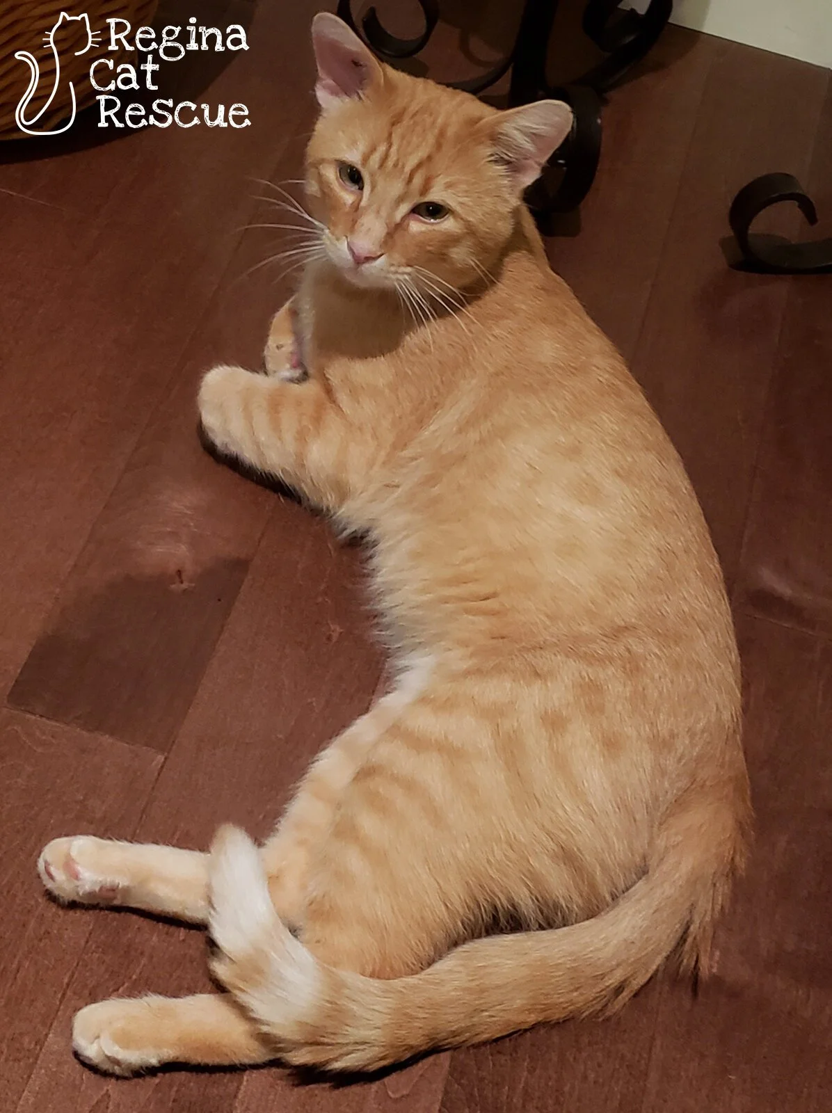 Dalton