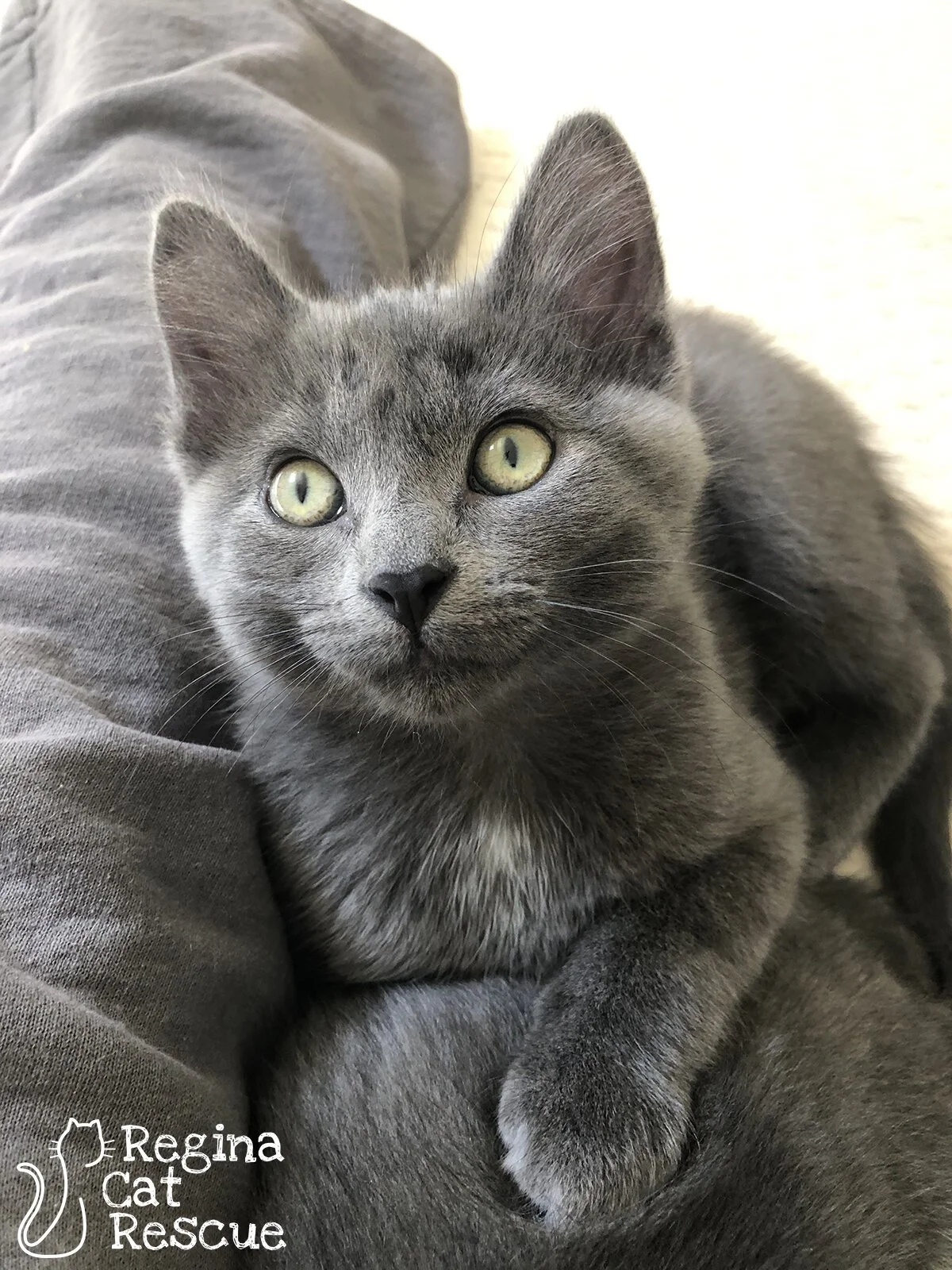 Eli