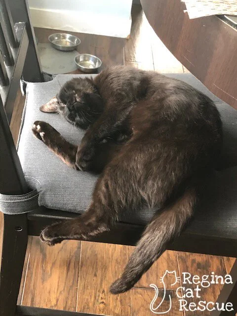 Farrah