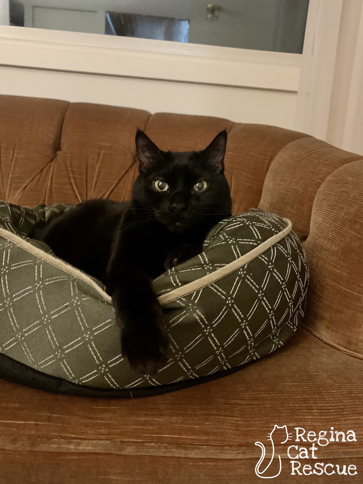 Simon