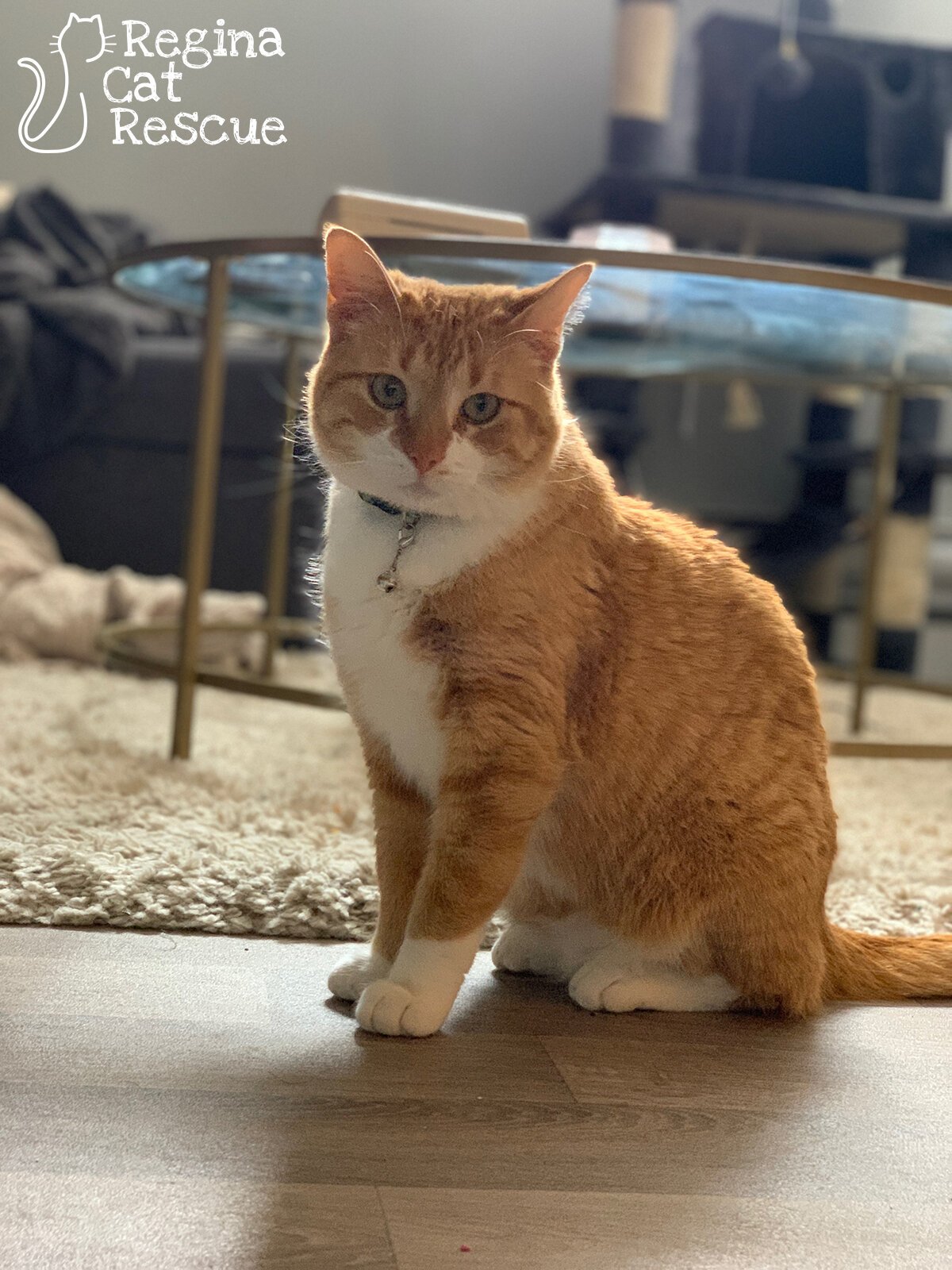 Catrick Swayze