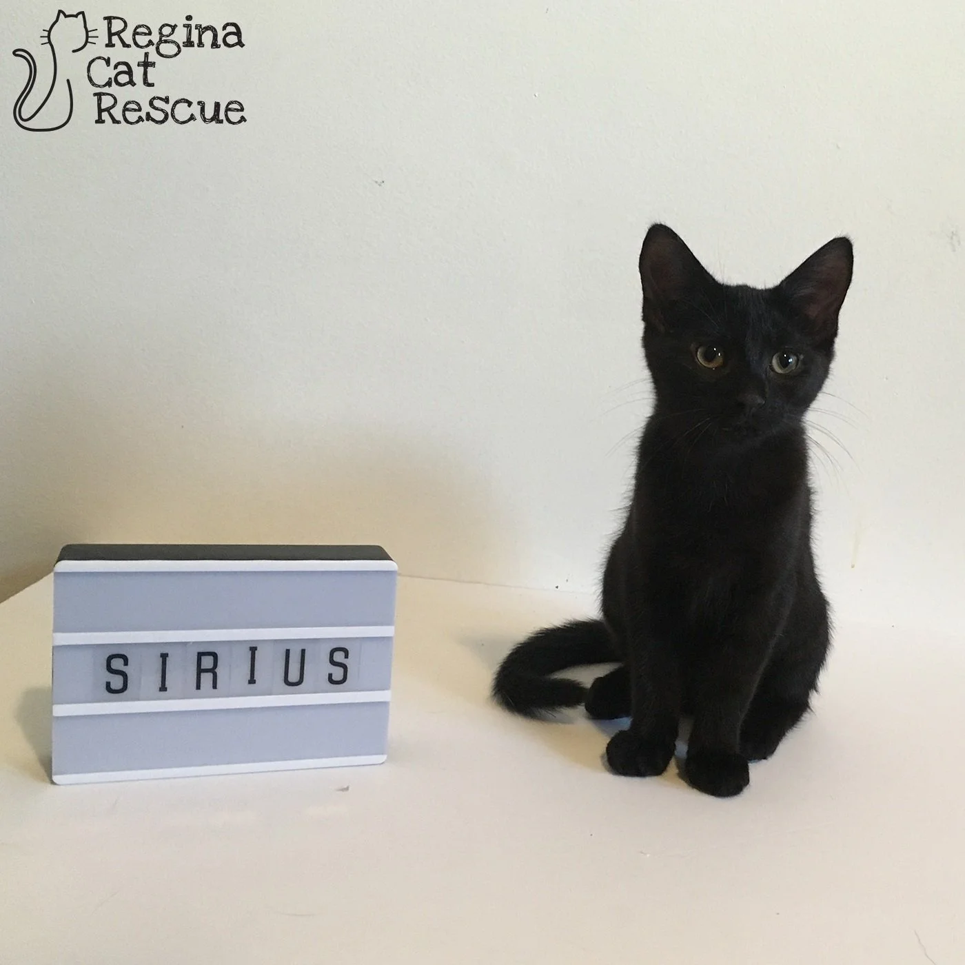 Sirius