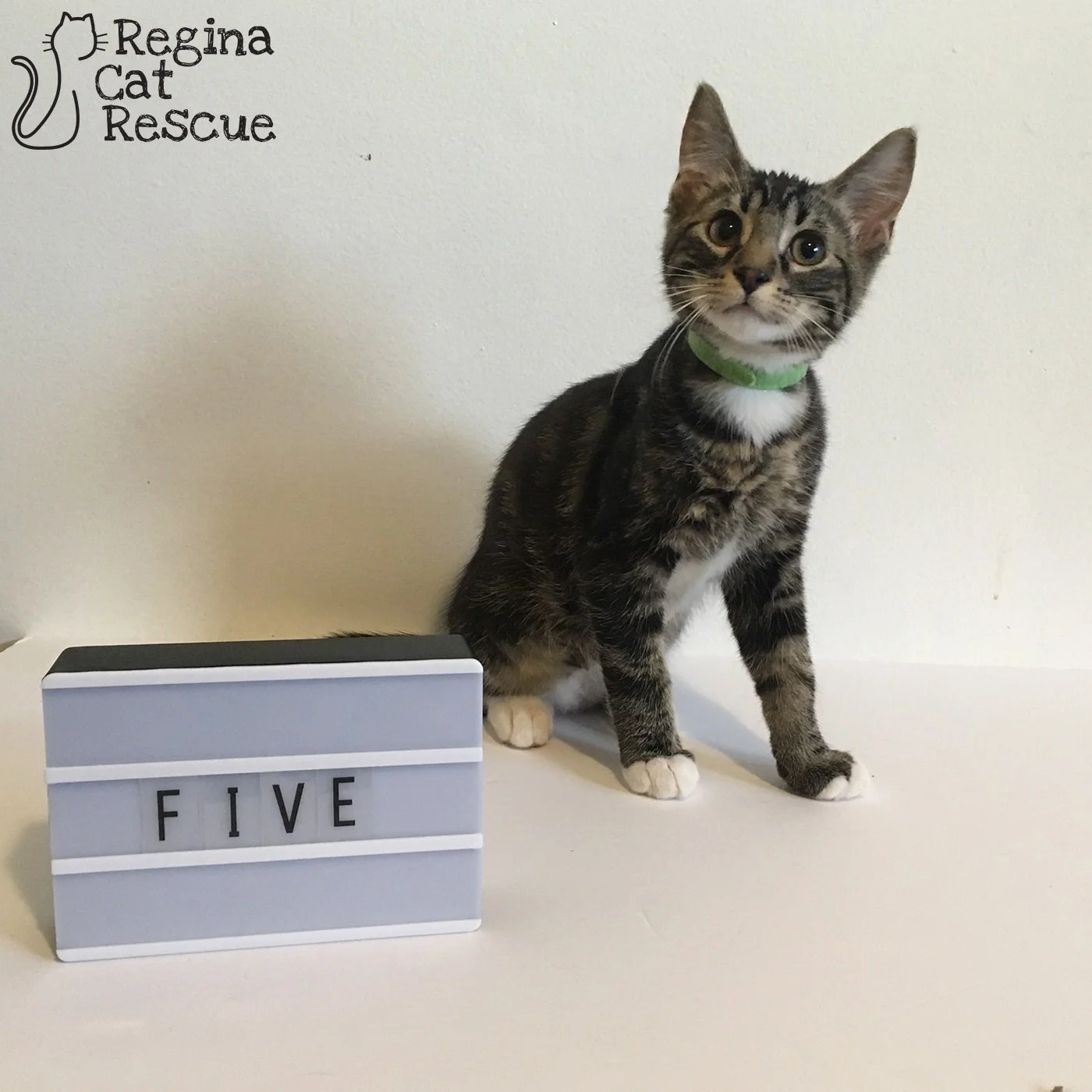 Five
