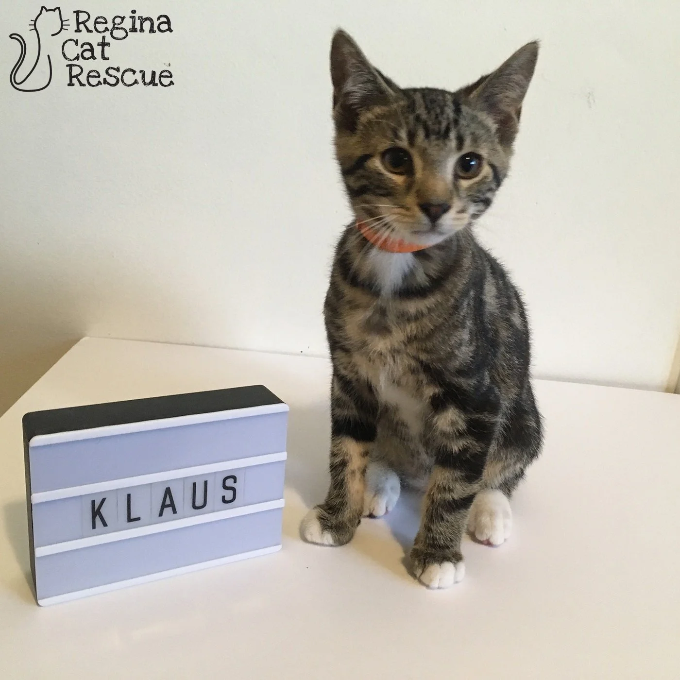 Klaus