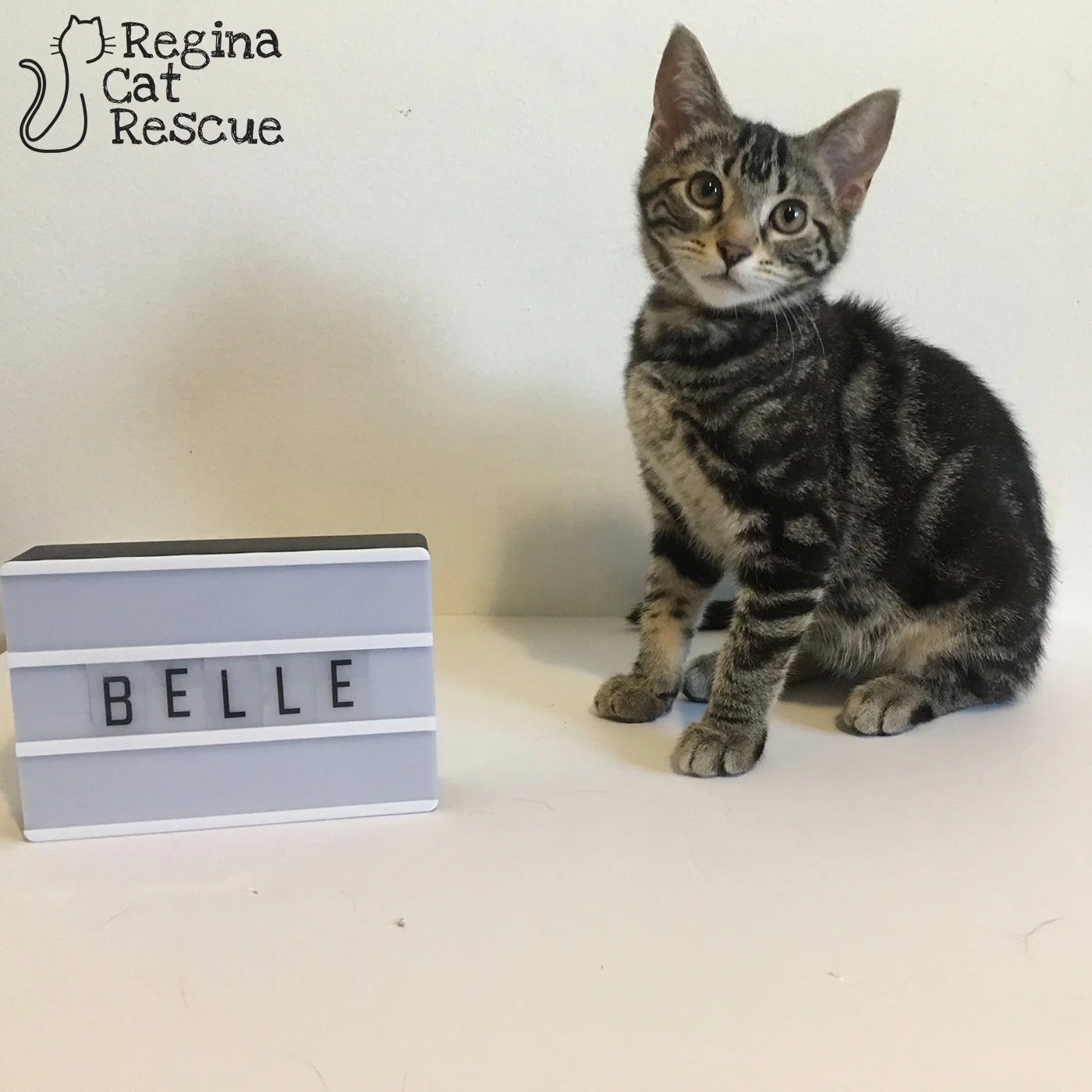 Belle