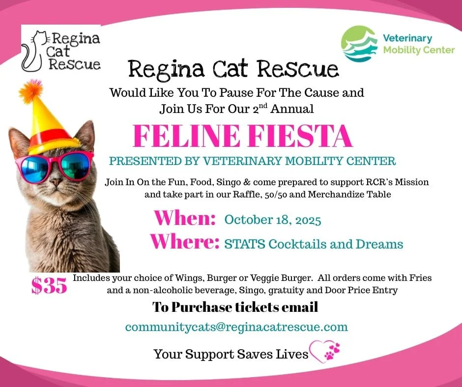 10 DAYS LEFT - Get your tickets today!⁠
⁠
Feline Fiesta is back for it's second annual event. ⁠
⁠
Join Regina Cat Rescue at Mr D's Stats Cocktails and Dreams, located at 1832 E Victoria Ave starting at 5:30PM for an evening of food, fun, and raising 