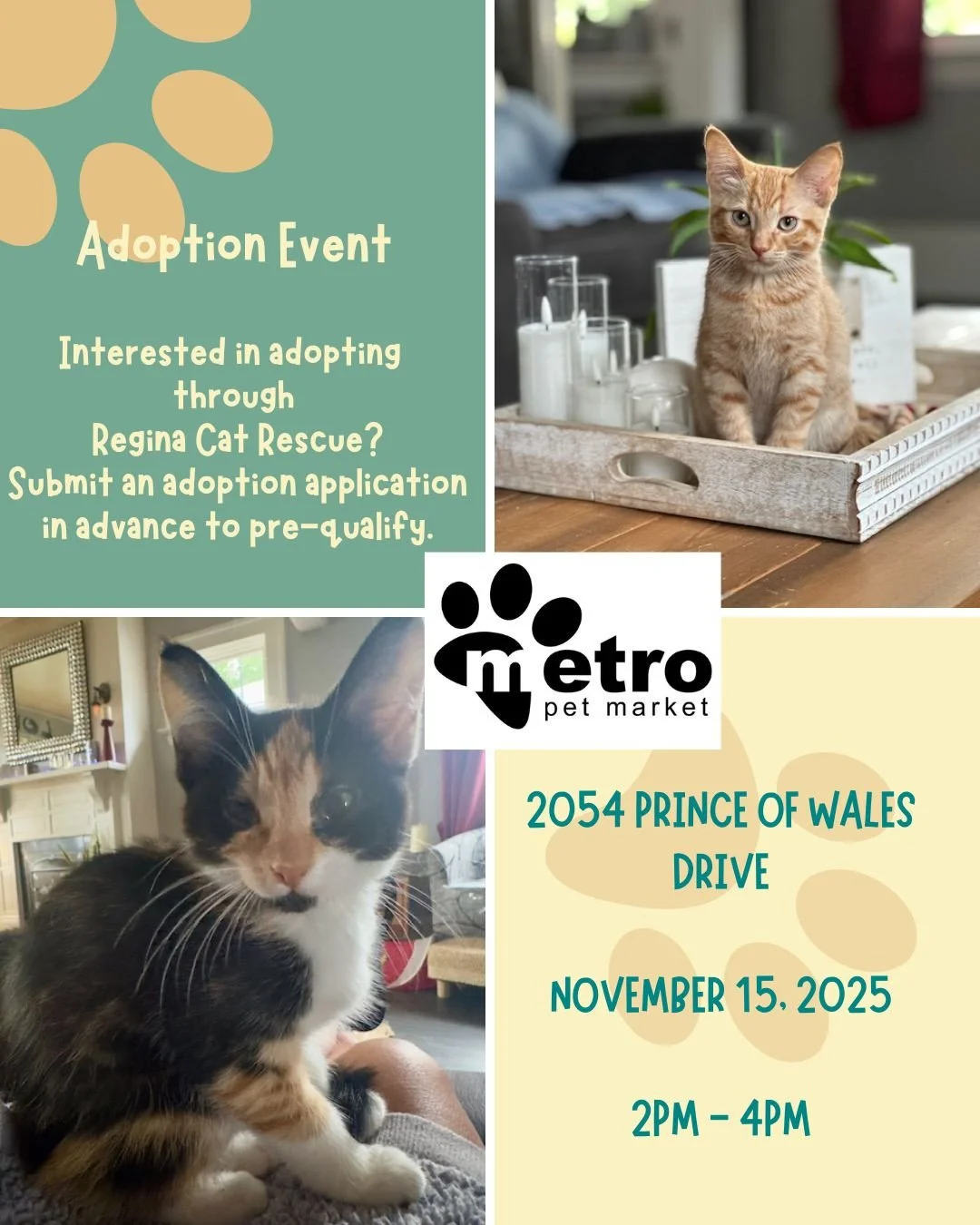 15 More Days!
Join Regina Cat Rescue and Metro Pet Market for a fun, exciting adoption event!
🤔Where? 2054 Prince of Wales Drive. 
🤔When? November 15th from 2 to 4PM
Regina Cat Rescue will have kittens available and rumor has it, some fir
