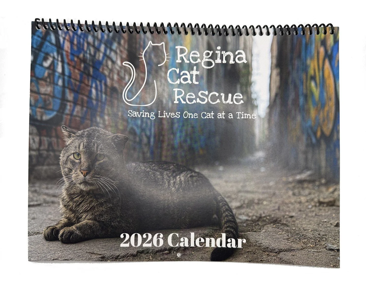 😻 We still have some of our 2026 calendars for sale! ⁠
⁠
We are grateful to Impact Printers for the excellent printing services, and to local stores and vet clinics who continue to graciously support our cause by selling our calendars. ⁠
⁠
➡️Check o
