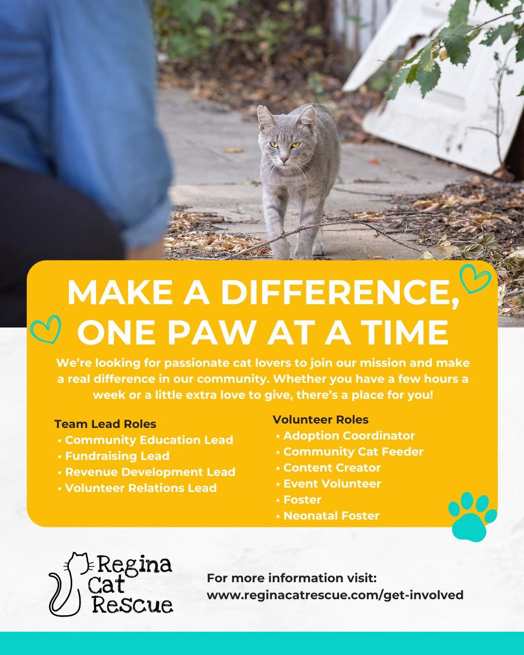 Ever wondered how one small act can ripple out into the world? Dive into the joy of giving back and discover that every moment spent volunteering is a moment spent changing lives &ndash; including your own. Let&rsquo;s be the change!⁠
⁠
Apply on our 