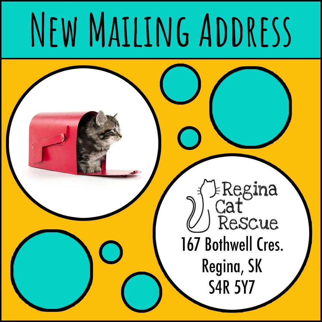 📣📣📣 Reminder that Regina Cat Rescue has a new mailing address.⁠
Please note, this is a mailing address only and not a shelter location for individuals to see cats in our care. ⁠
⁠
As a foster based organization, we rely on dozens of fosters in and