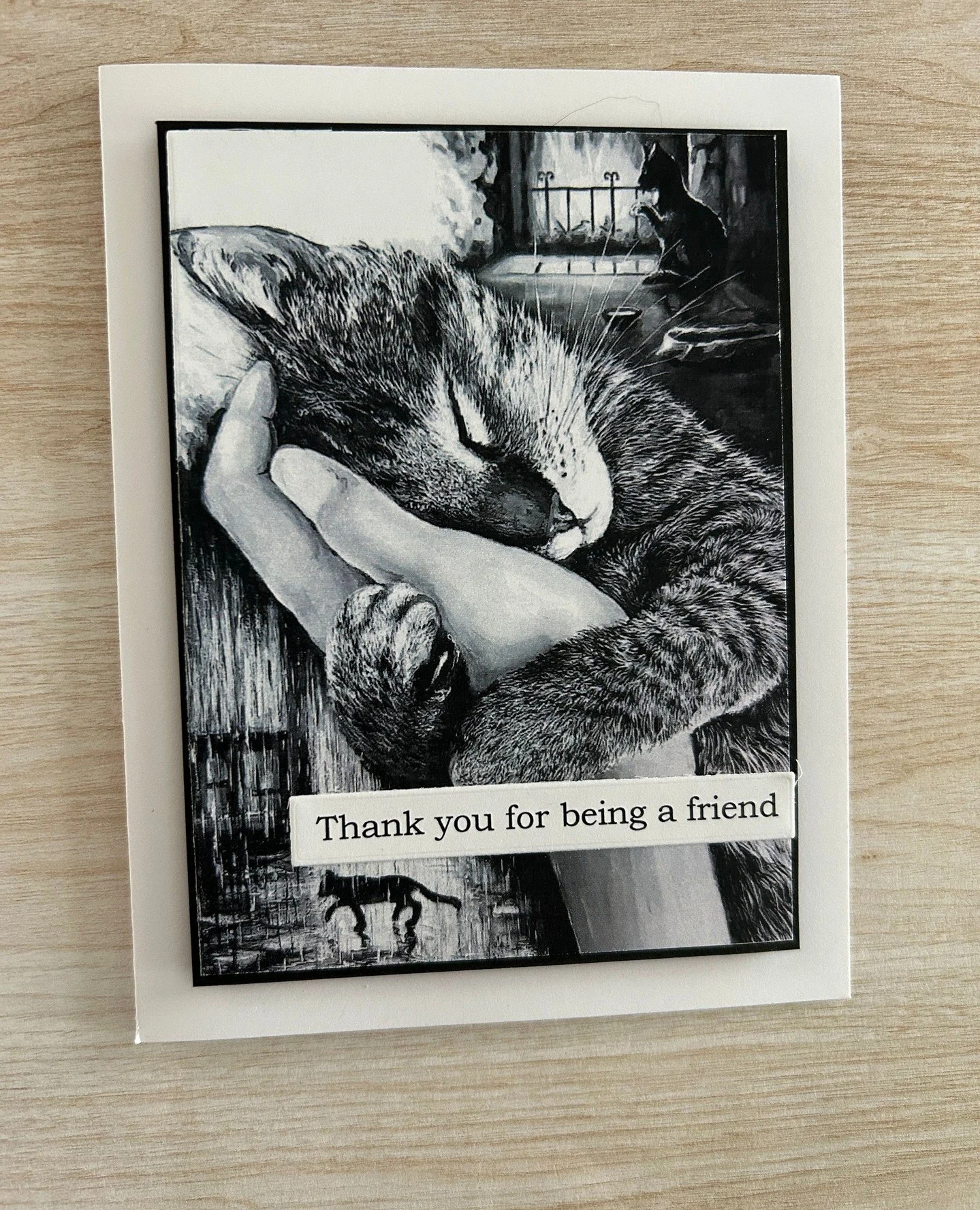 ✨️ Cards by Little Black Cat has created some wonderful cards to celebrate ⁠
Betty White Day. ⁠
⁠
Did you know all proceeds from each of these cards are directly donated to Regina Cat Rescue? ⁠
⁠
😻 Thank you for being a friend, Cards by Little Black