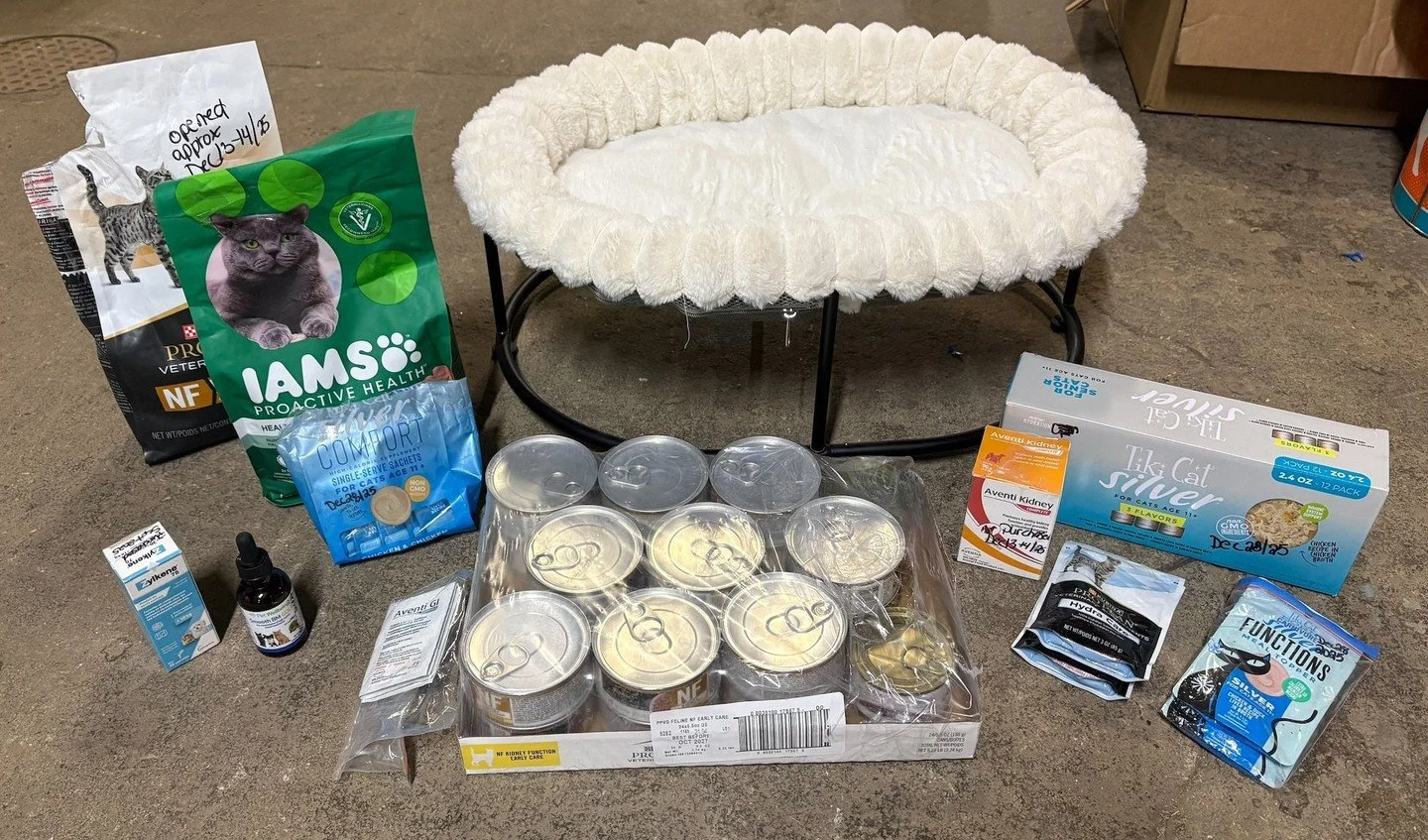 Today's special post goes to Cessna. ⁠
⁠
Cessna passed away Jan 8, 2026, and his human made the decision to reach out to Regina Cat Rescue inquiring about making a supply donation in his honor. ⁠
Melanie was directed to Alsort, where she was able to 