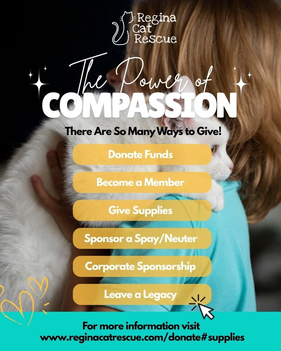 From donating funds to giving supplies, sponsoring a spay/neuter, or leaving a legacy, every act of kindness helps save lives. ⁠
Your support means warmth, care, and second chances for cats who need it most. Every gift makes a difference. Donate toda