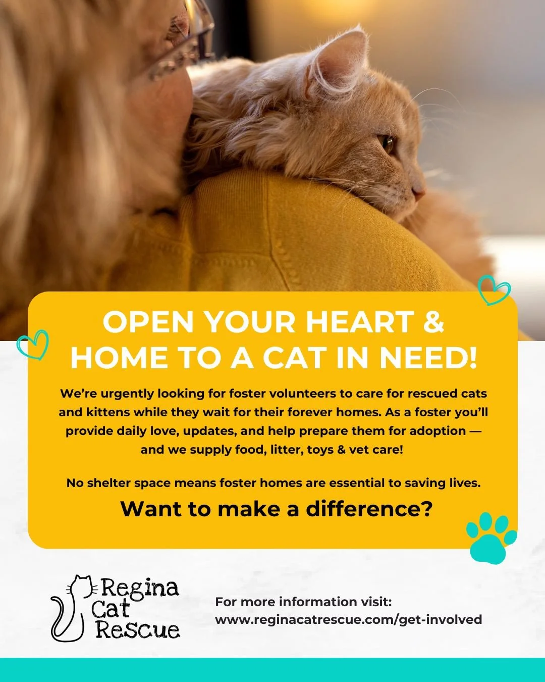 Fostering gives rescued cats and kittens a safe place to land while they wait for their forever families. You give the love&mdash;we&rsquo;ll support you every step of the way.⁠
⁠
Ready to save a life, one cuddle at a time?⁠
⁠
Want to help? Visit htt