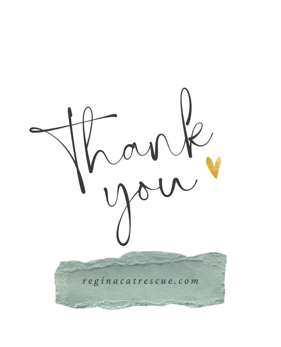 🐾 Thank you, Rena and yarn supply donors! ⁠
⁠
😻 Rena Morton is a long time volunteer with Regina Cat Rescue, creating the most incredible cat beds that are loved by all RCR foster cats and others across the city. ⁠
⁠
😻  Thank you to Carol and Dori