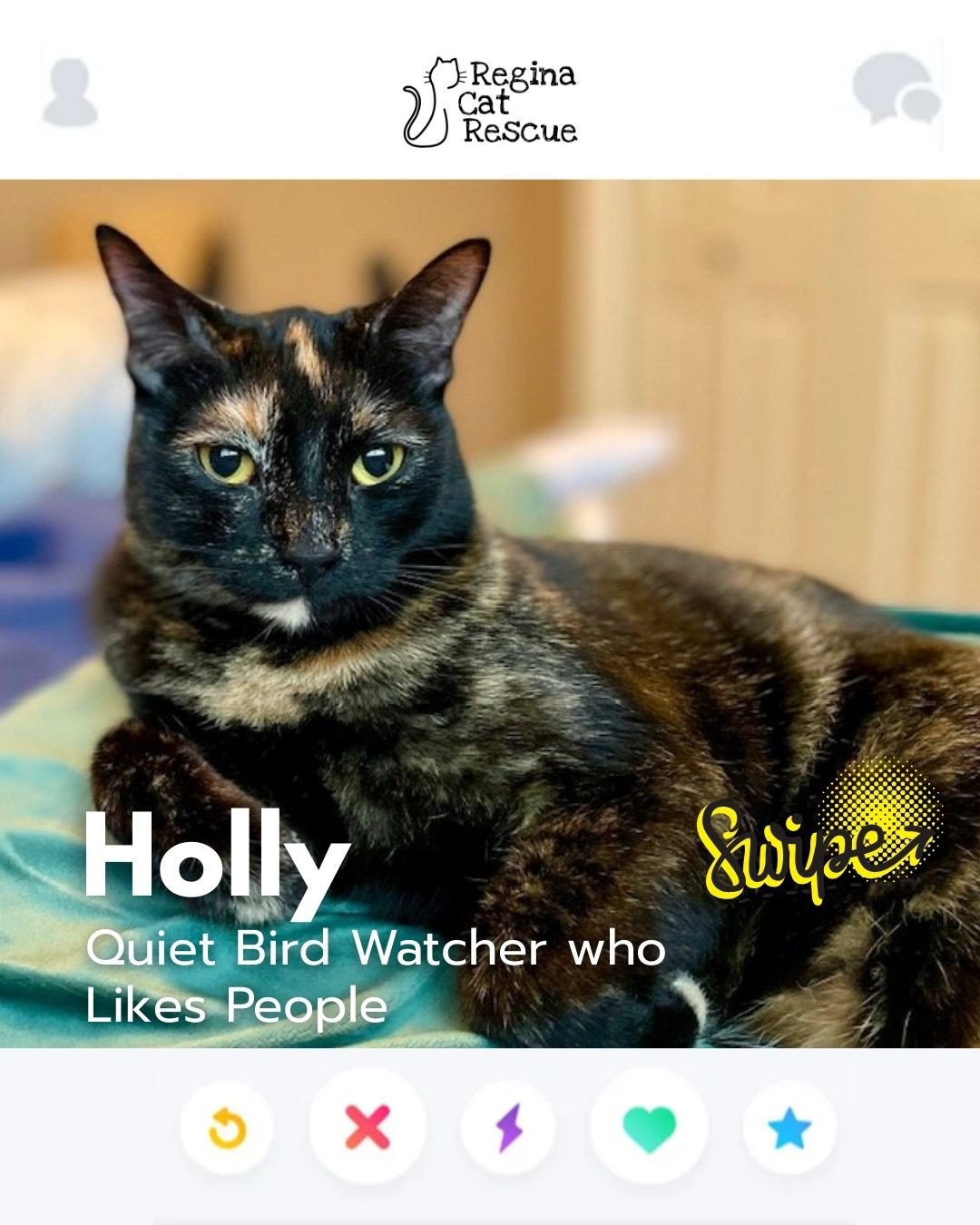 This February, Regina Cat Rescue is inviting you to Swipe Left to see another cat or Swipe Right to adopt! ⁠
To find your PURRFECT match, head over to the link in our bio or https://www.reginacatrescue.com to check out me and my other friends. ⁠
⁠
Hi