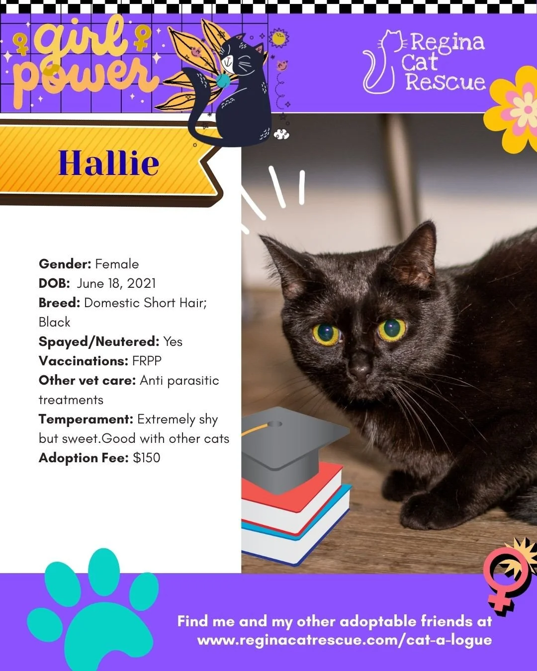 March is the month to celebrate strong, resilient, history making women, and at Regina Cat Rescue, we are celebrating some powerful ladies of our own. 🐾✨ ⁠
From fearless mamas who raised their kittens on the streets to independent queens who rule th