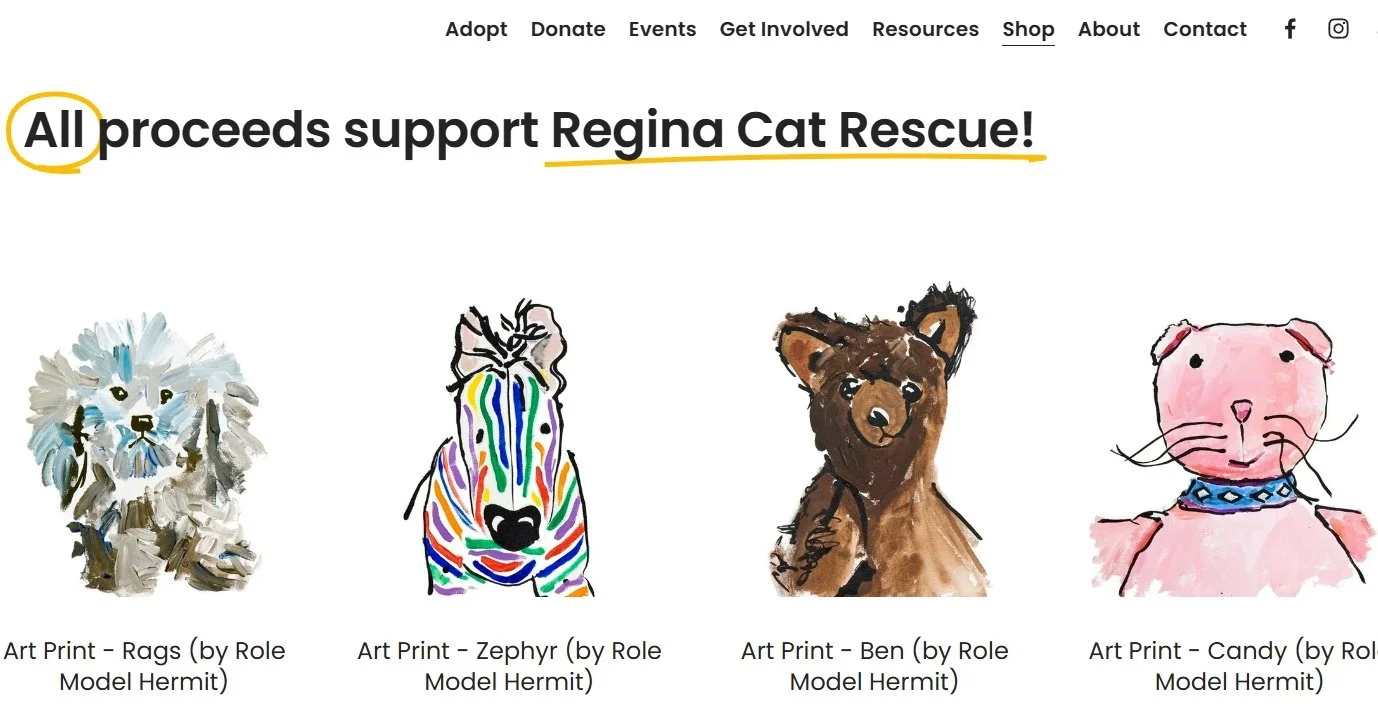 Pssst... hey, you! 😻⁠
⁠
🐾 Have you taken a look at our online shop and purchased any of the interesting items for sale yet? ⁠
⁠
Did you know all proceeds raised goes directly into supporting Regina Cat Rescue rescue efforts? it's true! So head to t