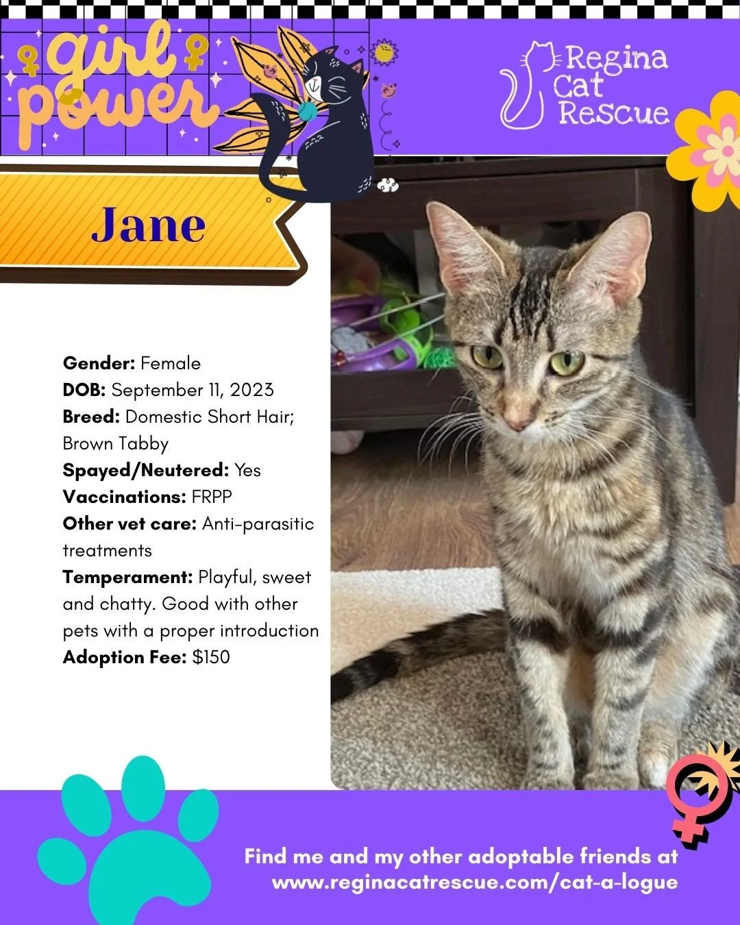 March is the month to celebrate strong, resilient, history making women, and at Regina Cat Rescue, we are celebrating some powerful ladies of our own. 🐾✨ ⁠
From fearless mamas who raised their kittens on the streets to independent queens who rule th