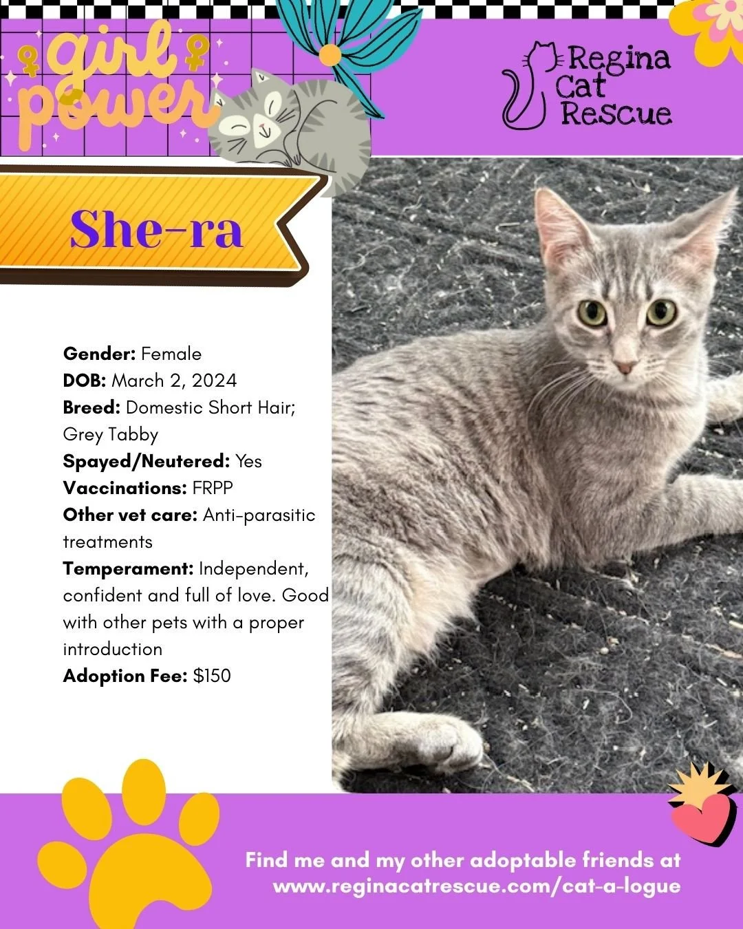 March is the month to celebrate strong, resilient, history making women, and at Regina Cat Rescue, we are celebrating some powerful ladies of our own. 🐾✨ ⁠
From fearless mamas who raised their kittens on the streets to independent queens who rule th