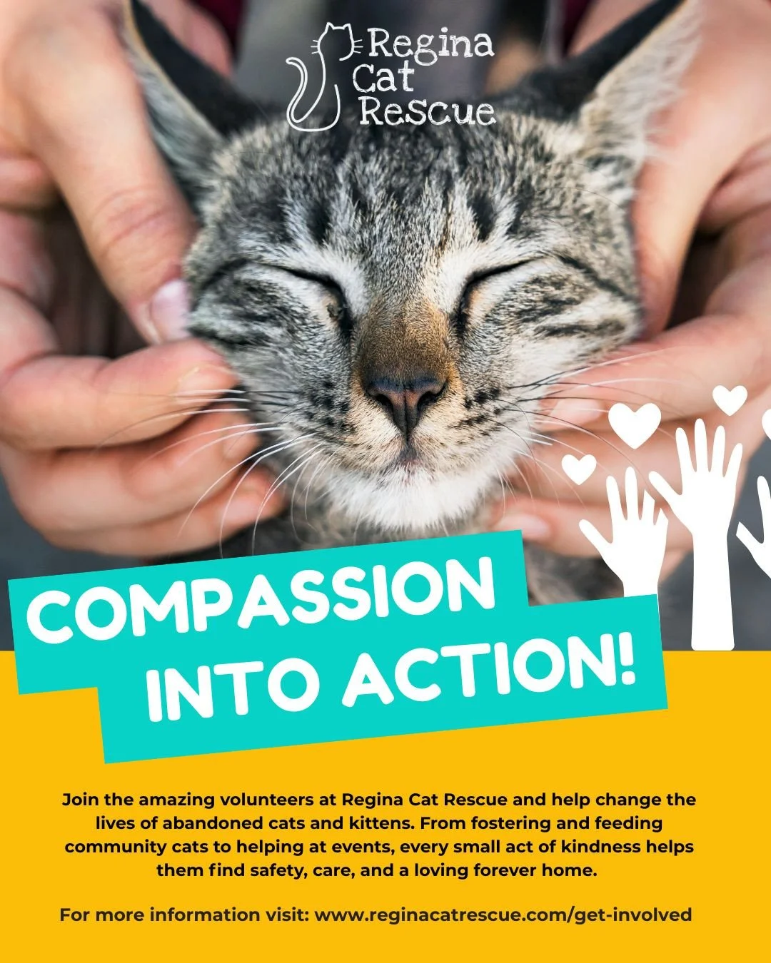 Every rescue story begins with someone who cared enough to help. ⁠
Volunteer with Regina Cat Rescue and be part of giving cats and kittens a second chance at safety, care, and loving homes.⁠
⁠
Learn how you can get involved:⁠
https://www.reginacatres