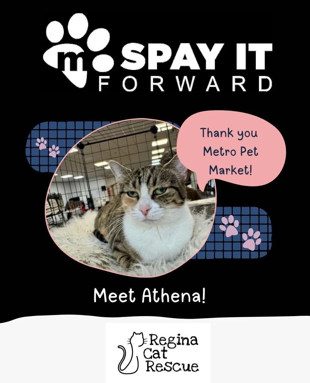 A huge thank you to @MetroPetMarket for Spaying It Forward! This month, Metro paid for Athena spay surgery as part of their ongoing mission to foster responsible pet guardianship. ⁠
⁠
Athena&rsquo;s journey is one of quiet strength and endless love. 